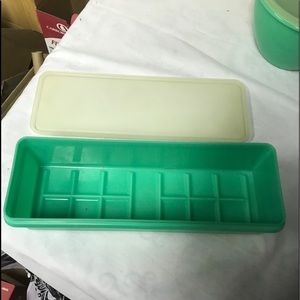 Vintage Tupperware veggie keeper